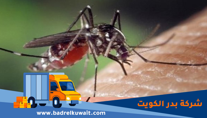 شركة مكافحة البعوض الكويت
