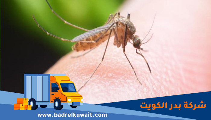 شركة مكافحة البعوض الكويت